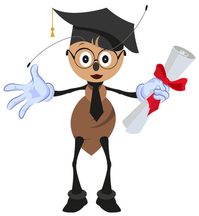 Ants teach wisdom image showing an ant holding a diploma