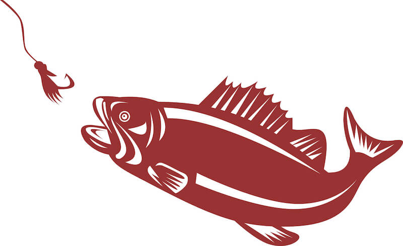 Bait of false prophets and teachers showing a largemouth bass heading to a fish hook