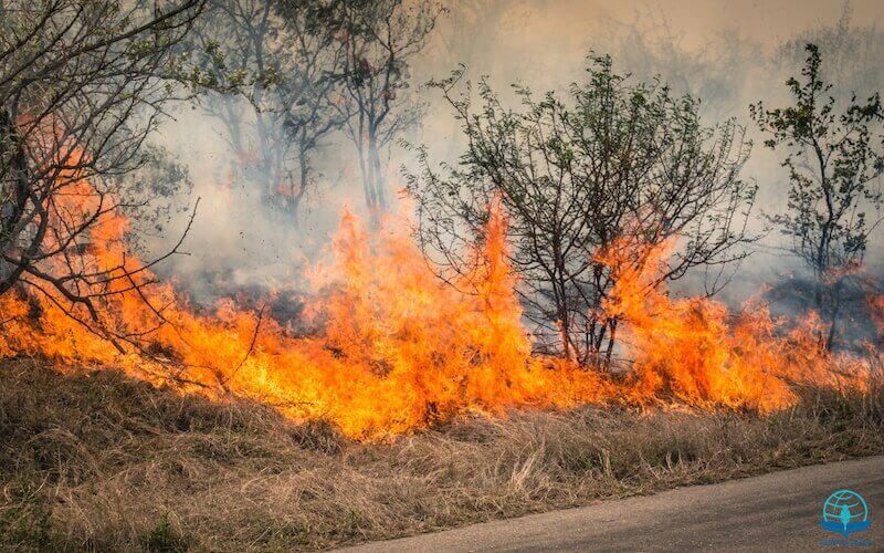 Before Abraham was ,I am showing the burning bush