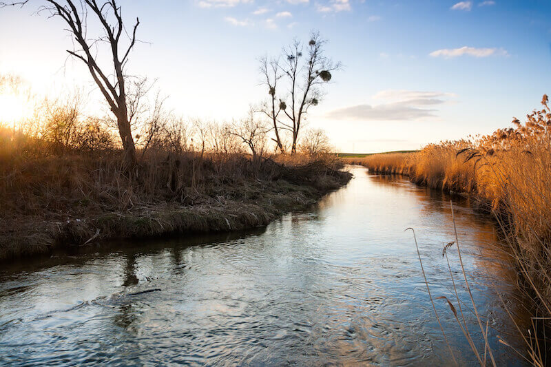 by the rivers of Babylon showing a small stream