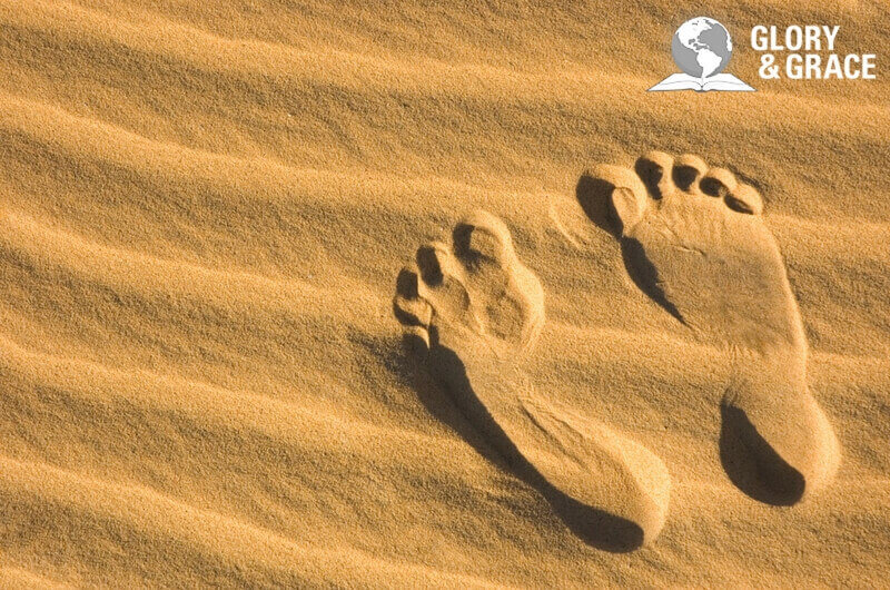 Chosen generation showing foot prints