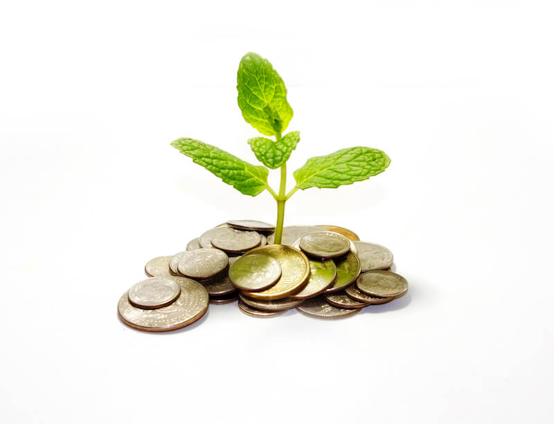 growing in this grace showing a young plant growing in money