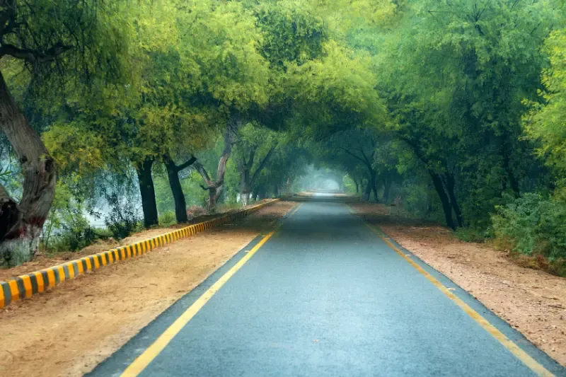 Jesus said I am the Way showing a road