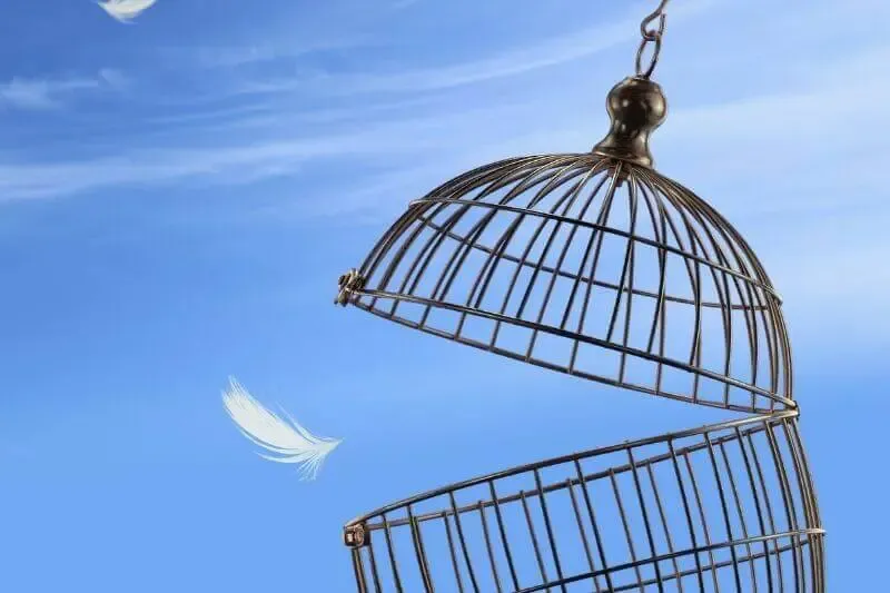 freedom showing an open cage