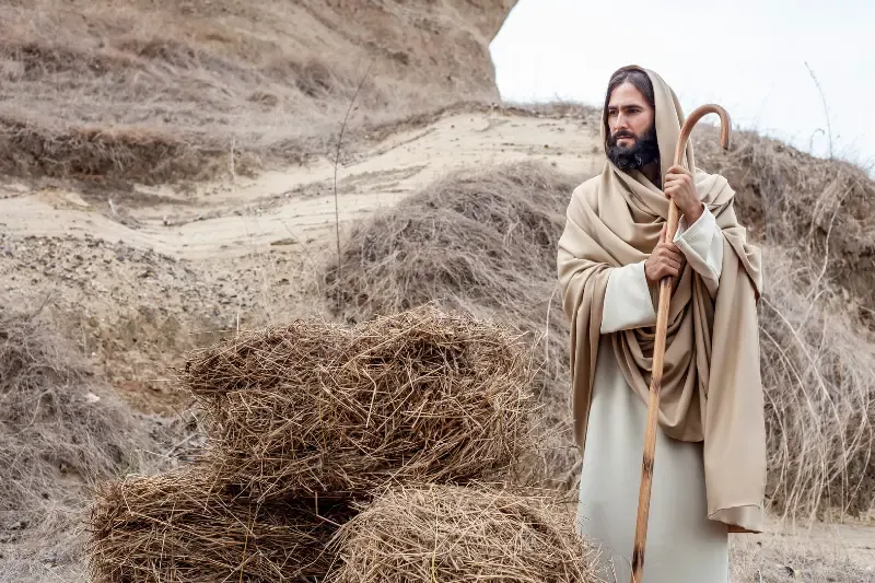 Jesus the man and His mission showing Jesus in the wilderness