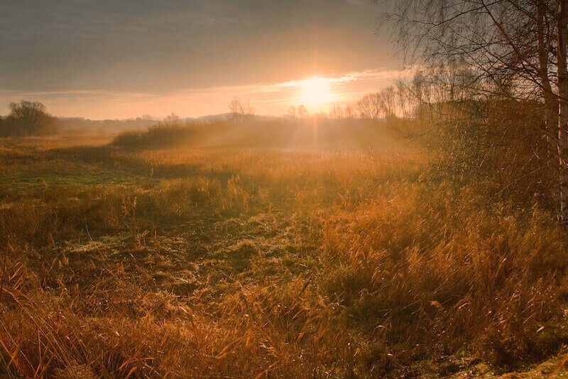 weeping may endure in the night showing the morning light