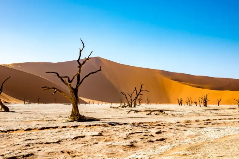 massa and meribah showing a desert