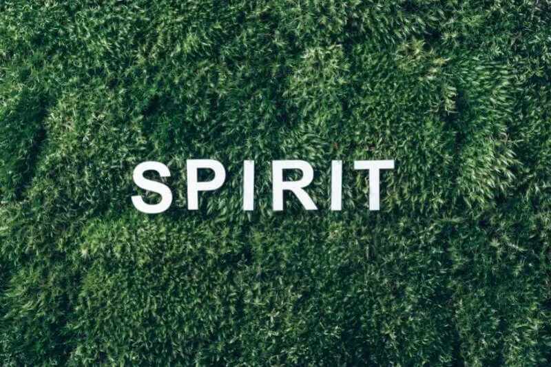 naturalization of the spirit showing the word spirit