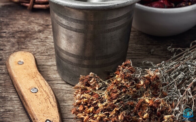 No balm in Gilead showing herbal medicines