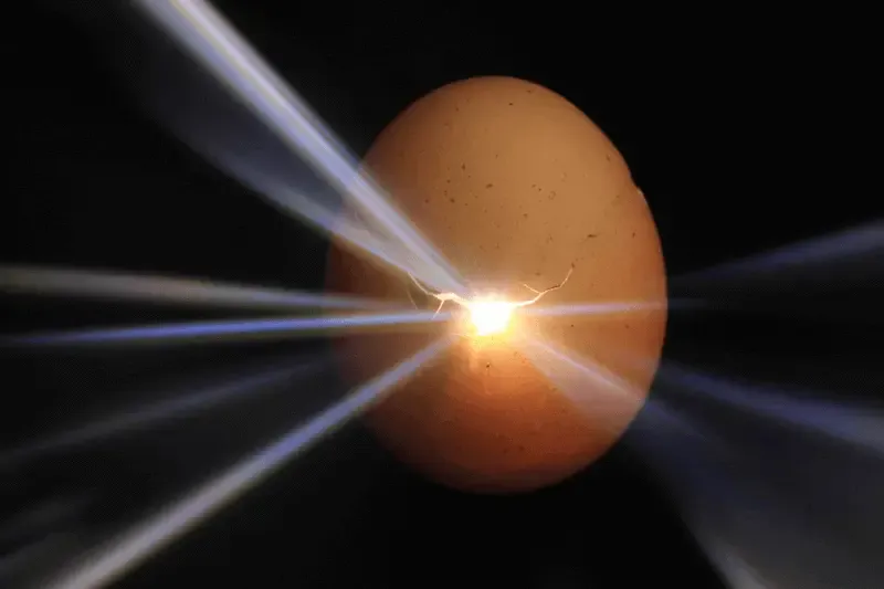 It is the spiri that quickeneth showing new life coming out of an egg
