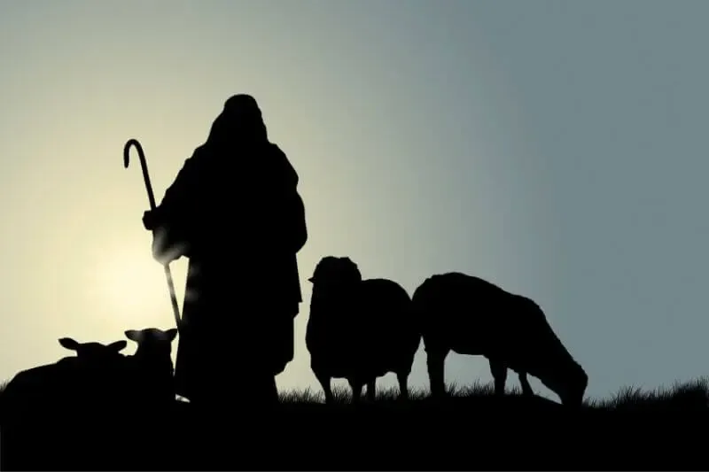 the lord is my shepherd showing a shepherd with sheep