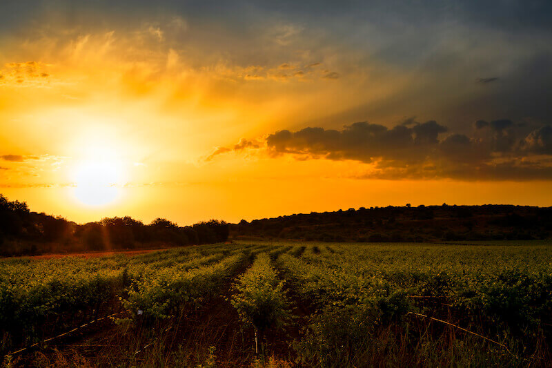 the path of the righteous is like the dawn of day showing sun rise