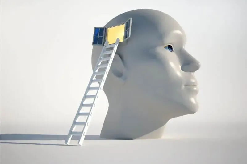 the word of knowledge showing a diagram of a human head with a ladder into their brain