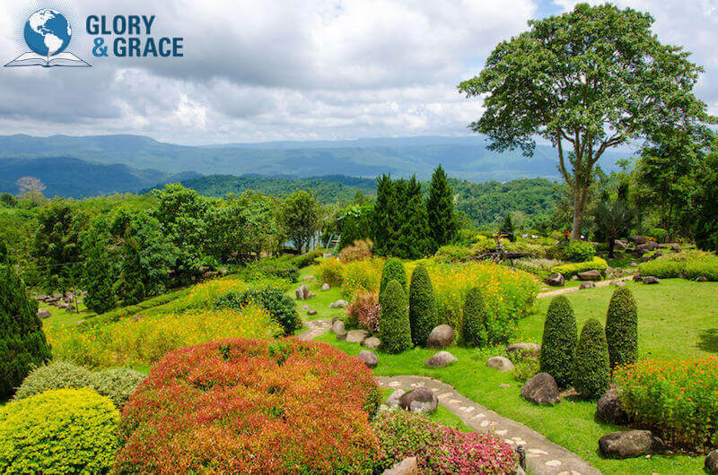 Wilderness to Garden image