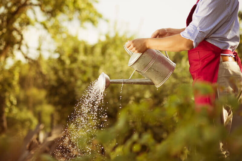 Word of God is seed and water showing a man watering