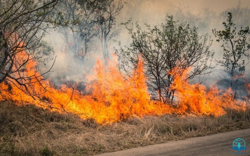 Before Abraham was ,I am showing the burning bush