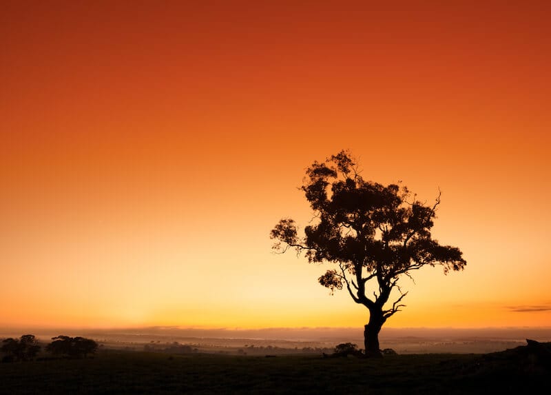the path of the righteous is like the morning sun showing sun rise