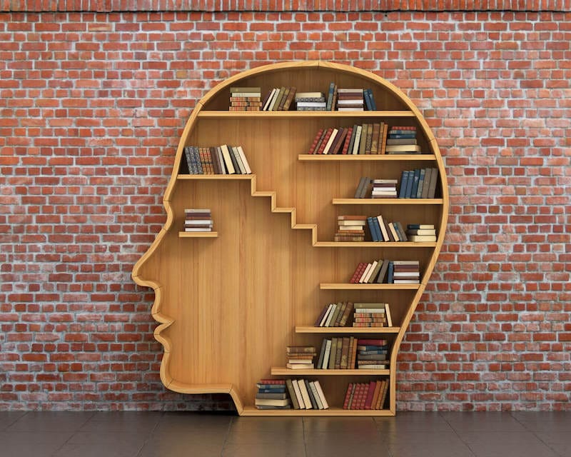 Knowledge mind of good and evil image showing a carved human head of wood with books inside.