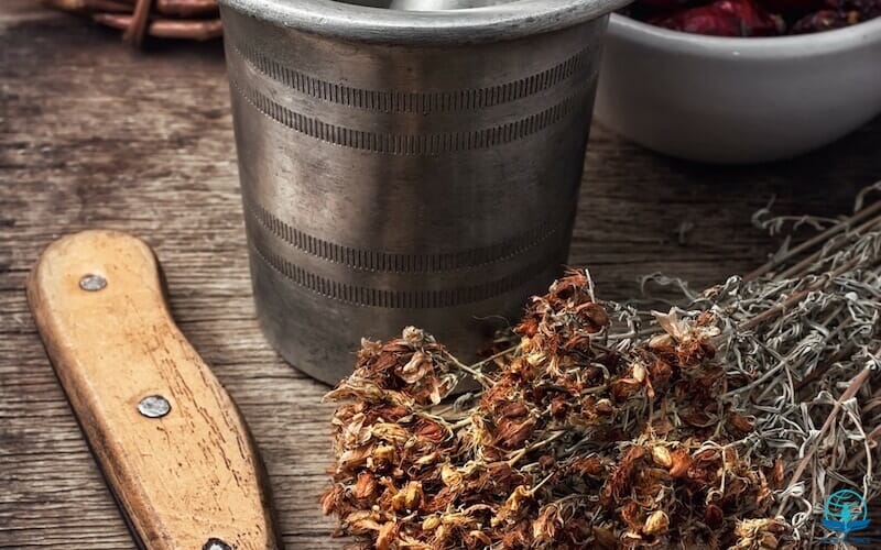 No balm in Gilead showing herbal medicines