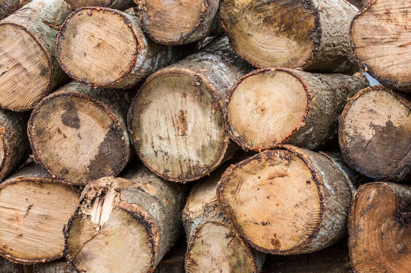 logs of wood, speck in your eye vs wood