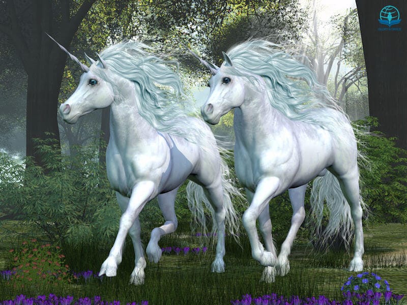 Unicorn pictures showing two white unicorns