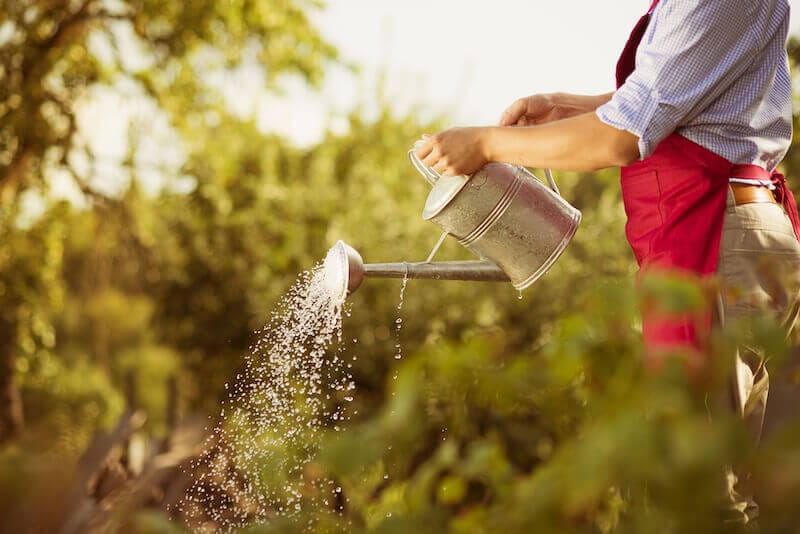Word of God is seed and water showing a man watering