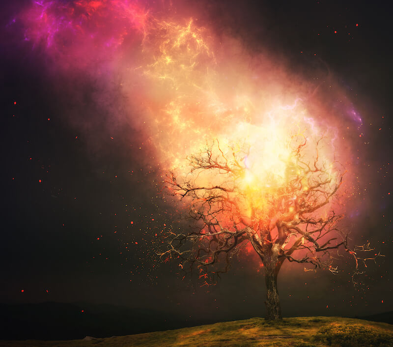 God's dwelling place showing a tree during with fire