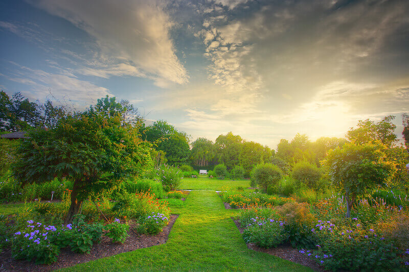 Desolate land turned into a garden showing the image of a beautiful garden