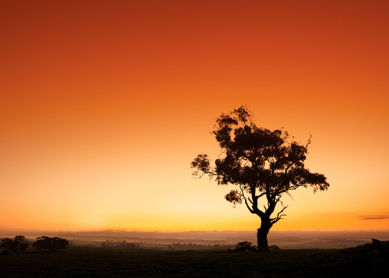 the path of the righteous is like the morning sun showing sun rise