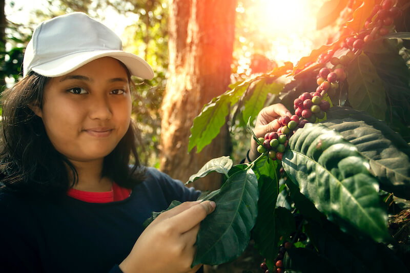 responding to the Word showing a woman by a cocoa plant