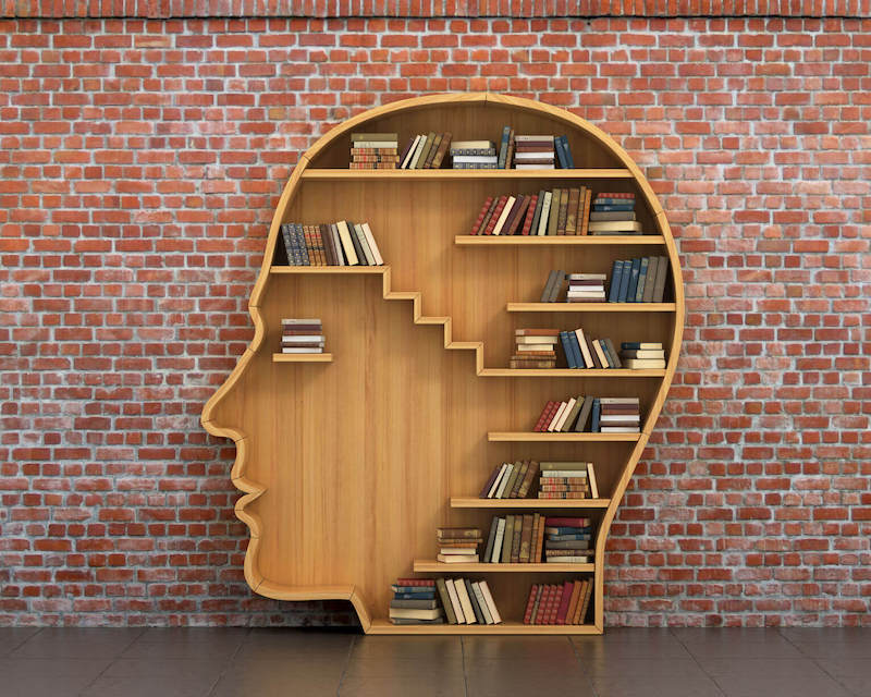 Knowledge mind of good and evil image showing a carved human head of wood with books inside.