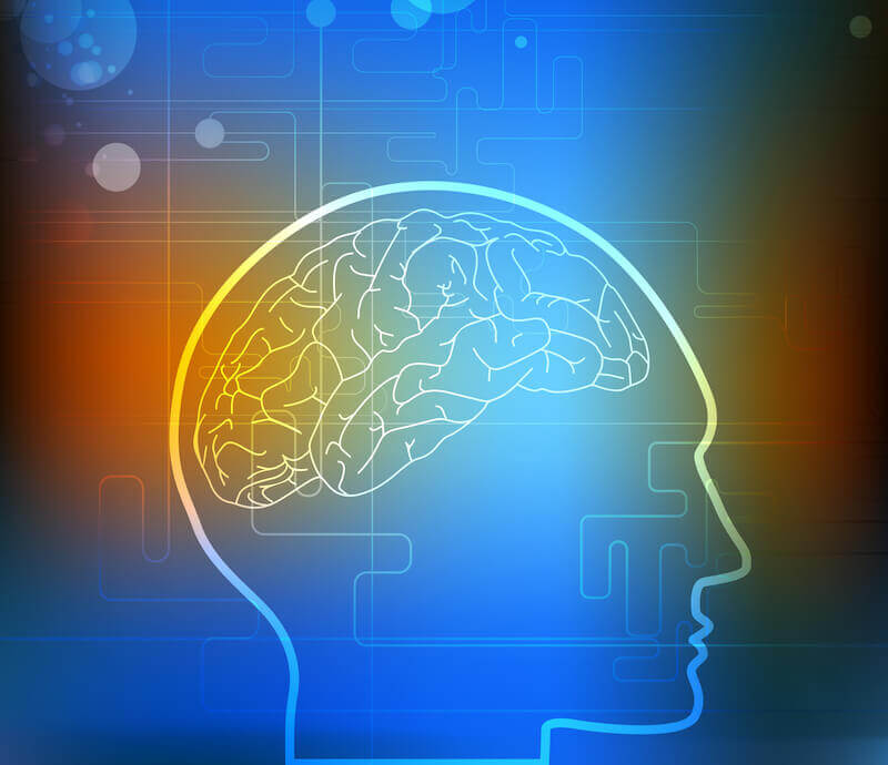 Renewing the mind showing the diagram of the brain