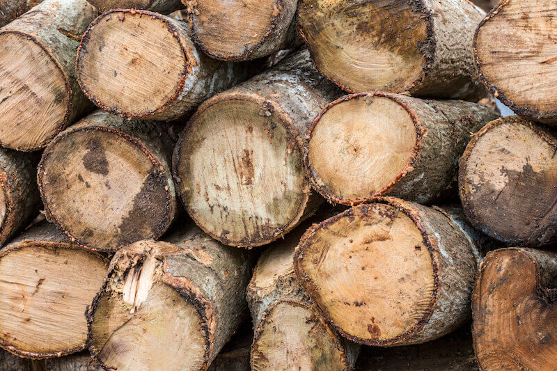 logs of wood, speck in your eye vs wood