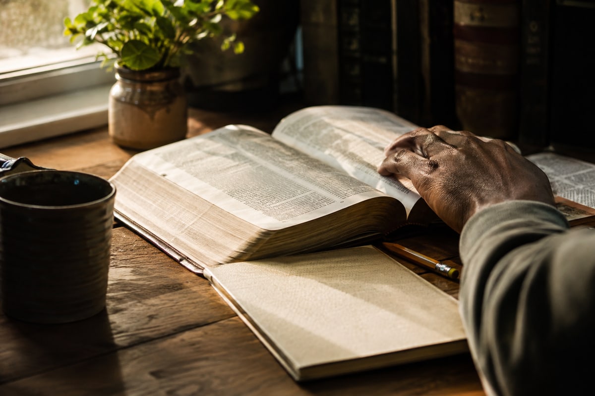 Morning light falls across an open Bible and notebook as a reader studies the passage.