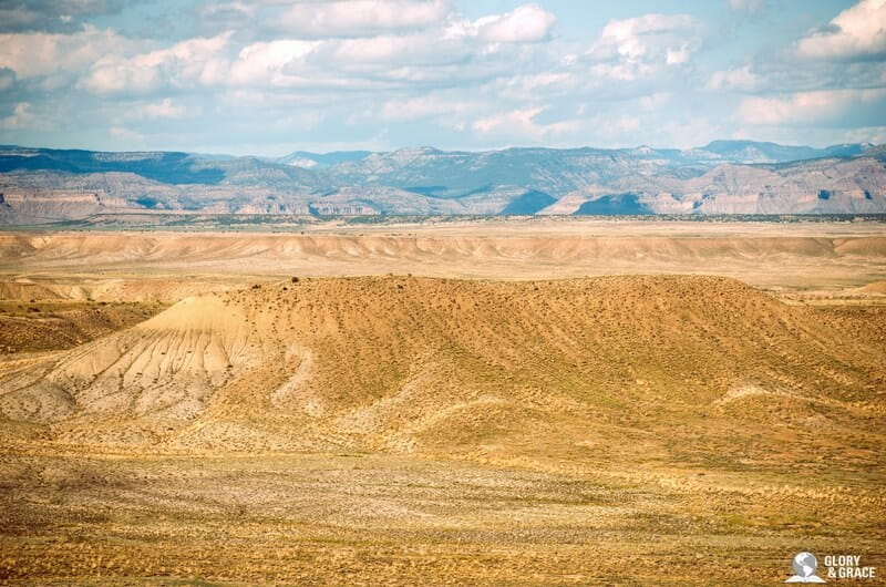 40 years in the wilderness