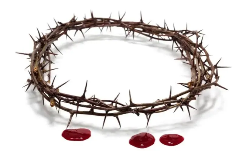 blood of Christ showing the crown of thorns and drops of blood