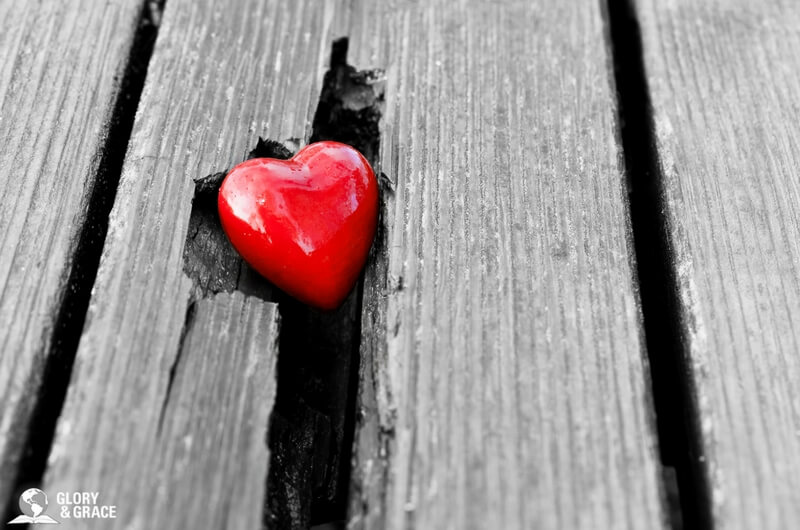 he has put eternity in man's heart showing a red heart in a tree