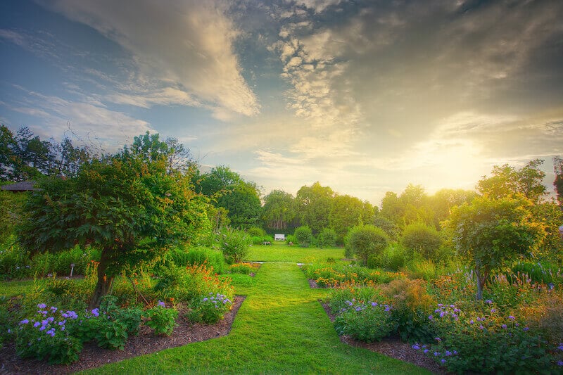 Desolate land turned into a garden showing the image of a beautiful garden