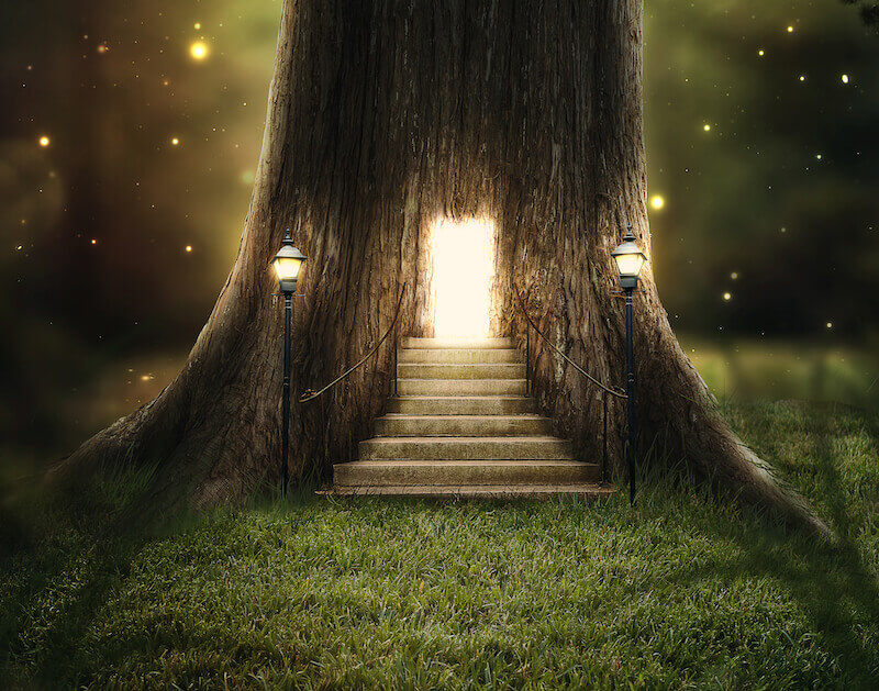 Divine visitations showing a house in a tree with light