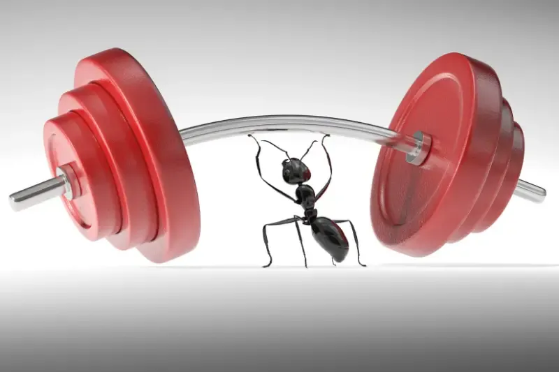i can do all things showing an ant lifting up weights