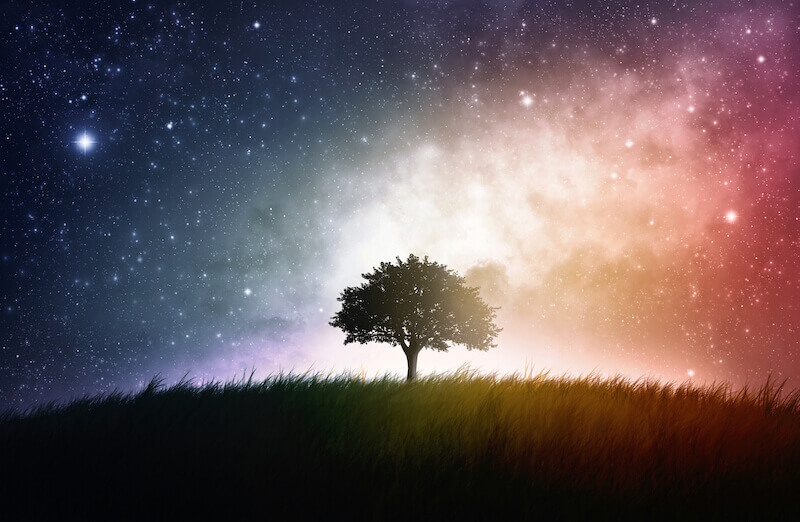 seeing God in the flesh showing a tree