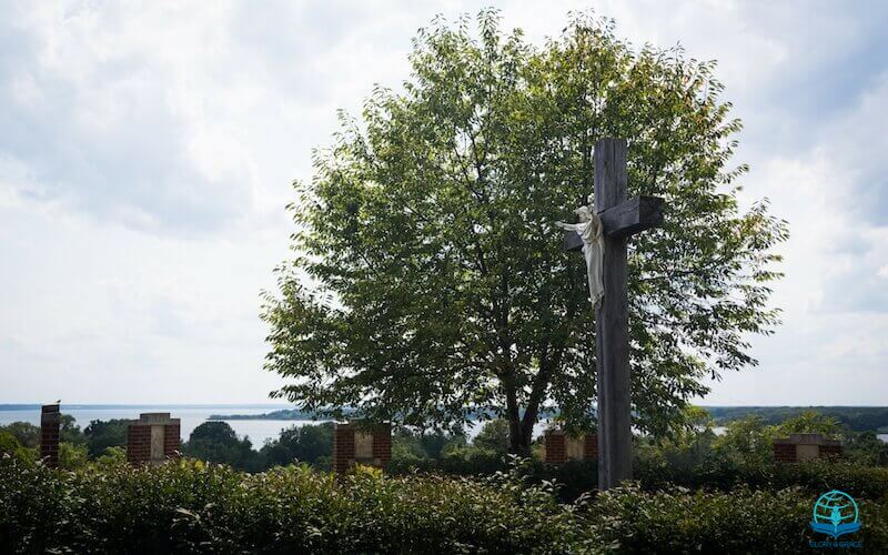 Man of Sorrows image showing the cross