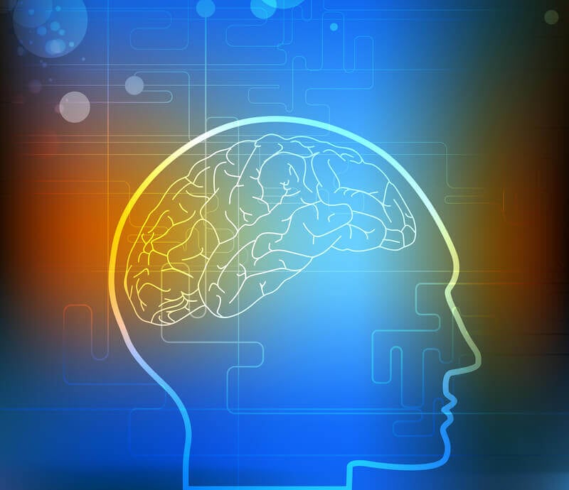 Renewing the mind showing the diagram of the brain
