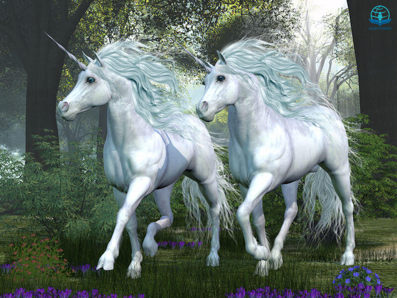 Unicorn pictures showing two white unicorns